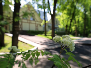 Отель Дубрава