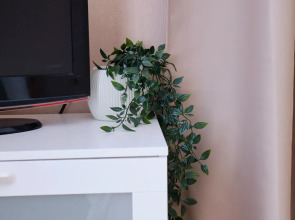 Квартира просторная двухкомнатная с кухней-гостиной от Welcome V Ekb