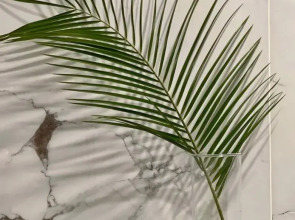 Апартаменты Современная Студия в Центре на Кутузовском