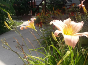 Частный дом Feel House