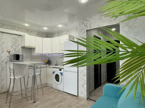 Квартира Питер