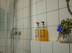 Квартира Retro Green Apart