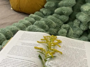 Квартира Пушкинский 1