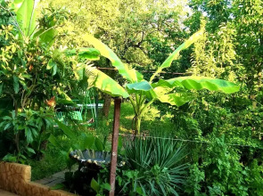 Гостевой дом Ваниль