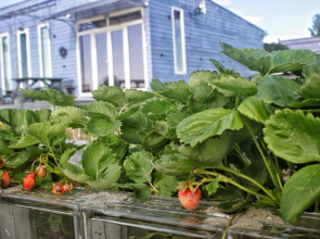 Частный дом Семейное эко-пространство Домик у моря