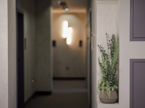 Отель Dynasty Hotel & SPA