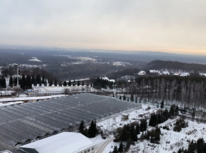 Квартира Уютная у Венского леса и санатория Зелёная Роща