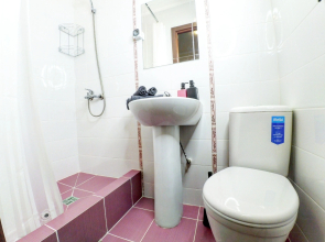 Апартаменты MiniHouse 1