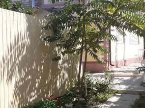 Anapskoe Vzmor'e Guest House