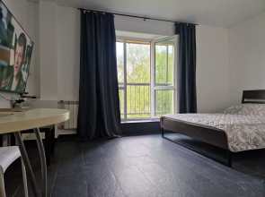 Апартаменты Заповедный квартал (у пл. Горького)