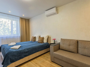 Квартира Светлая и Уютная