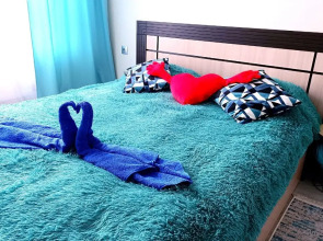 Апартаменты двухкомнатные Татьянин Дом вблизи Амура и парка Северный