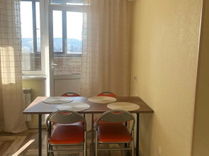 Квартира на Дудинской