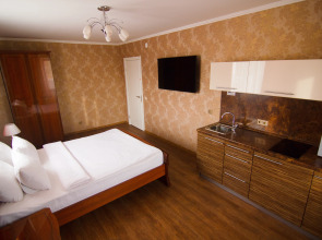 Апартаменты Золотой Шар на Революционной 4