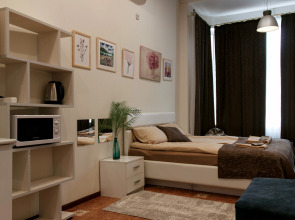 Жилое Помещение на Малой Пушкарской