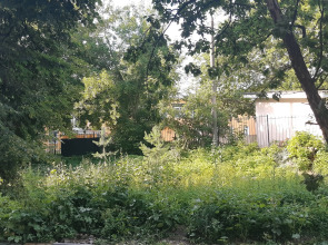 Квартира Esda