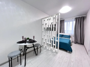 S Novym Sovremennym Remontom Flat