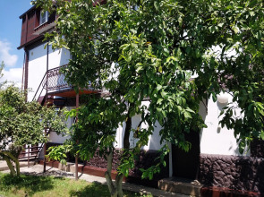 Отель Мандариновый берег