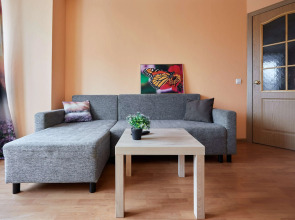 Квартира на Озерковой 51к2