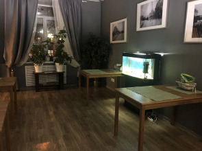 Хостел Олимпия