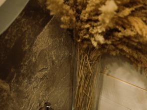 Шале Шалаш и баня