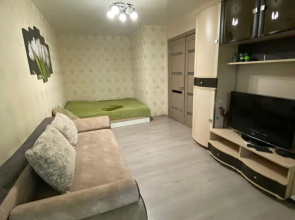 1-K. Kvartira V Tsentre Prospekt Lenina Apartments
