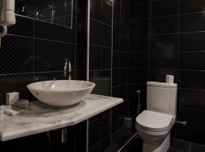 Отель Boutique Biotel