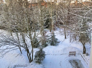 Квартира  Господин VN