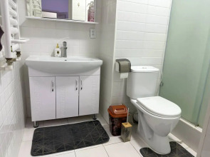 Квартира Уютные апартаменты Киевская, 190