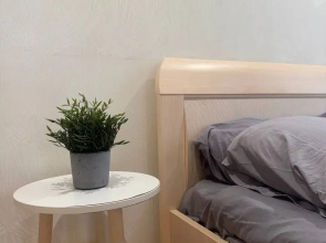 V tsentre goroda Flat