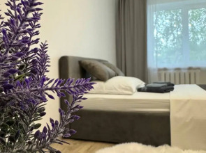 Апартаменты Bragin Hill