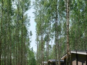 Глэмпинг Norke Есенинская Русь