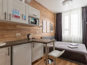 Апартаменты Букинист 233/1