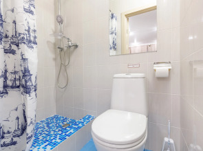 Двухместная улучшенная мини-студия Авион