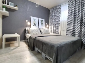 Uyutnaya kvartira v tsentre Apartments