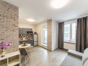 Апартаменты-студия на Фрунзенской