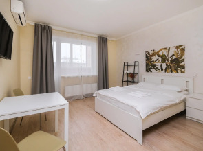 Апартаменты Домант Романова 60