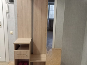 Квартира Просторная Квартира в Центре Тулы