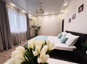 Апартаменты Пацаева 20А