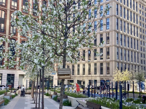 Апартаменты Comfort & Relax Home  in Silver fountain