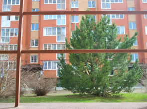 Апартаменты в ЖК Южный парк Казань