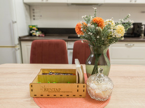 Квартира 1-к в центре рядом с ТЦ Мега Молл от RentAp 5 сп.мест