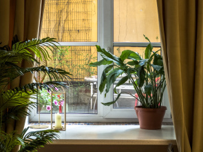 Апартаменты на Пестеля