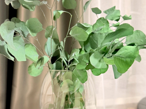 Квартира Шикарная двушка Бульвар Мира