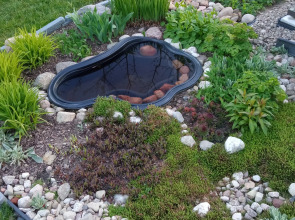 Частный дом с видом на сад в д. Санино