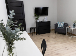 Квартира двухкомнатная в Доме с видом на Лавру