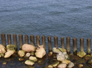 Апартаменты Amber West