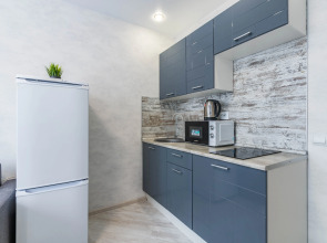 Апартаменты DreamHouse у аэропорта Кольцово