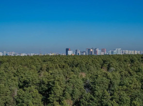 Квартира Великолепная Квартира с Видом на Сосны