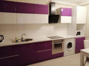 Апартаменты на улице Авиаторов 38